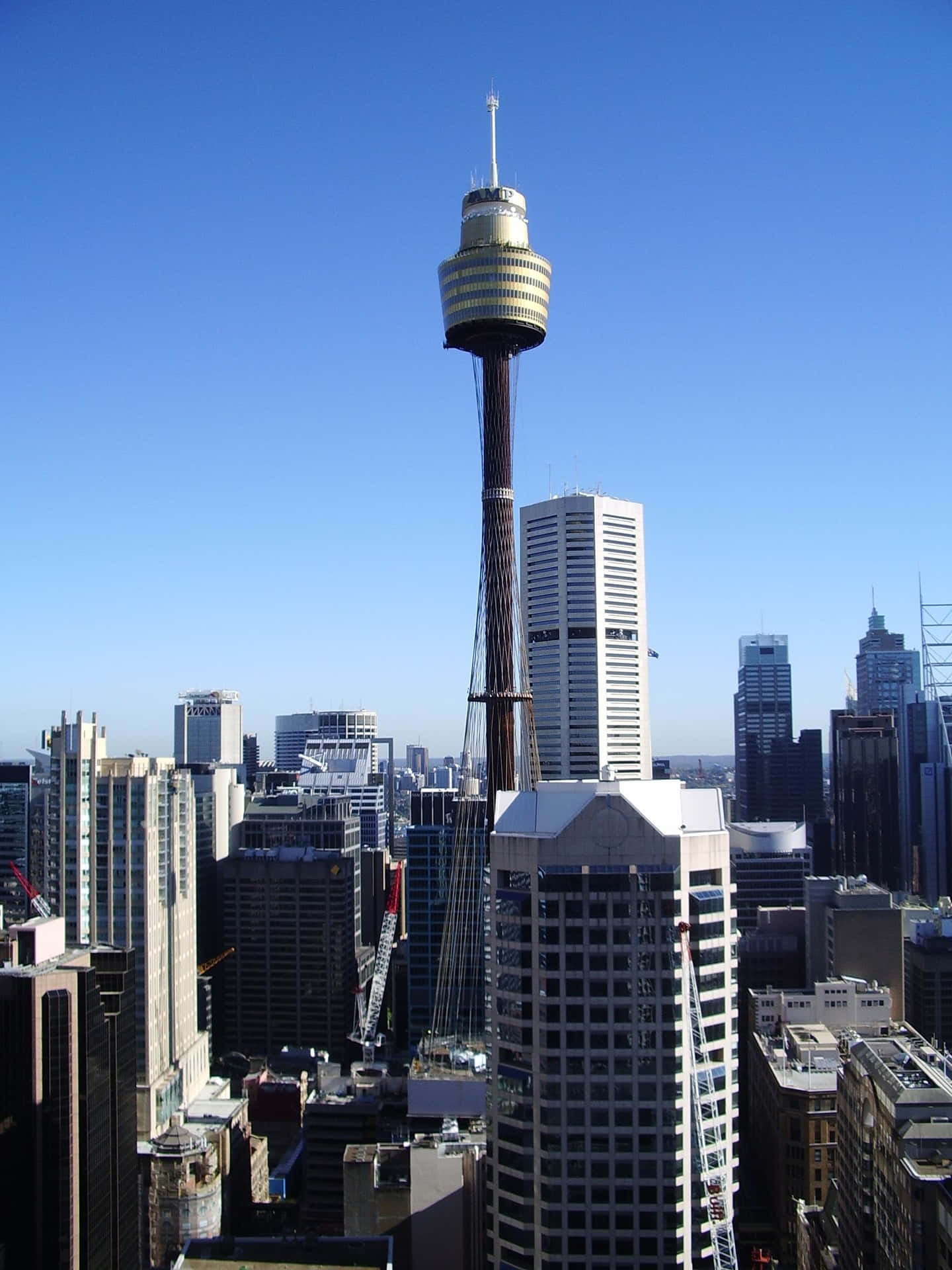 Sydney Tower Eye Cityscape Wallpaper
