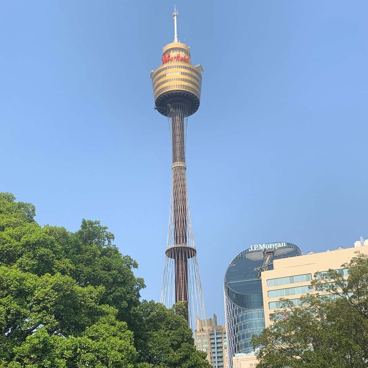 Sydney Tower Eye Clear Sky Wallpaper