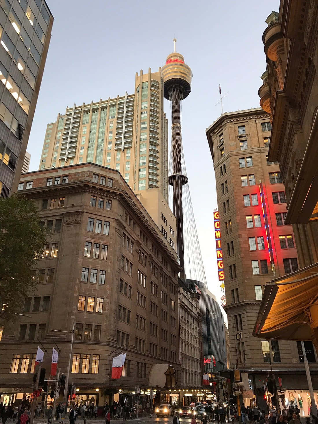 Sydney Tower Eye Dusk View Wallpaper