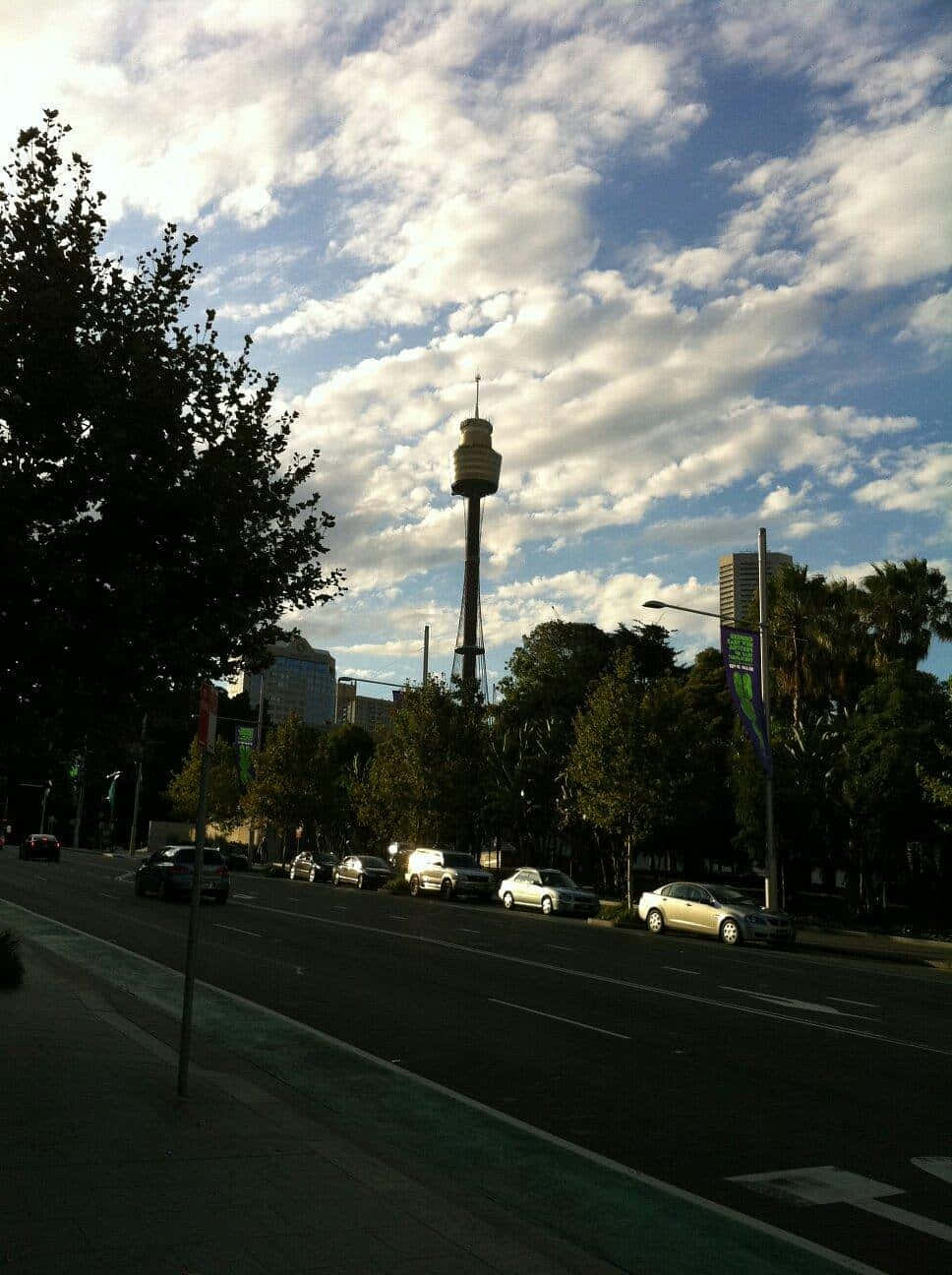 Sydney Tower Eye Dusk View Wallpaper