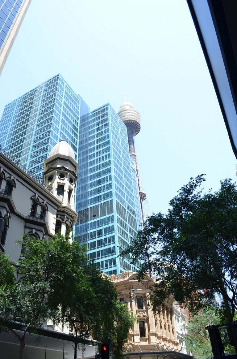 Sydney Tower Eyeand Surrounding Buildings Wallpaper