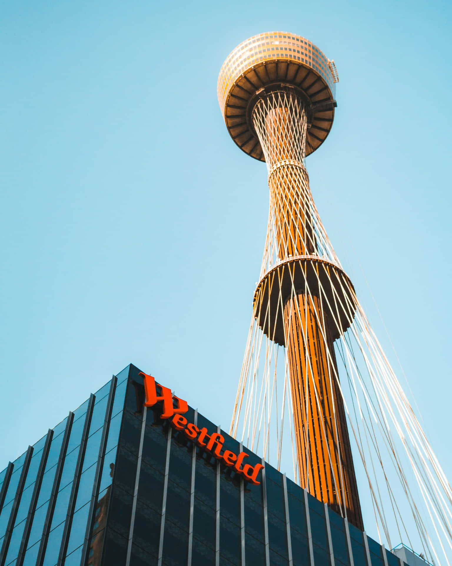 Sydney Tower Eyeand Westfield Signage Wallpaper