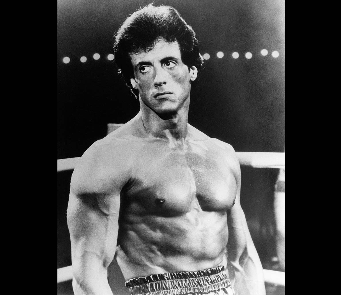 sylvester stallone rocky wallpapers