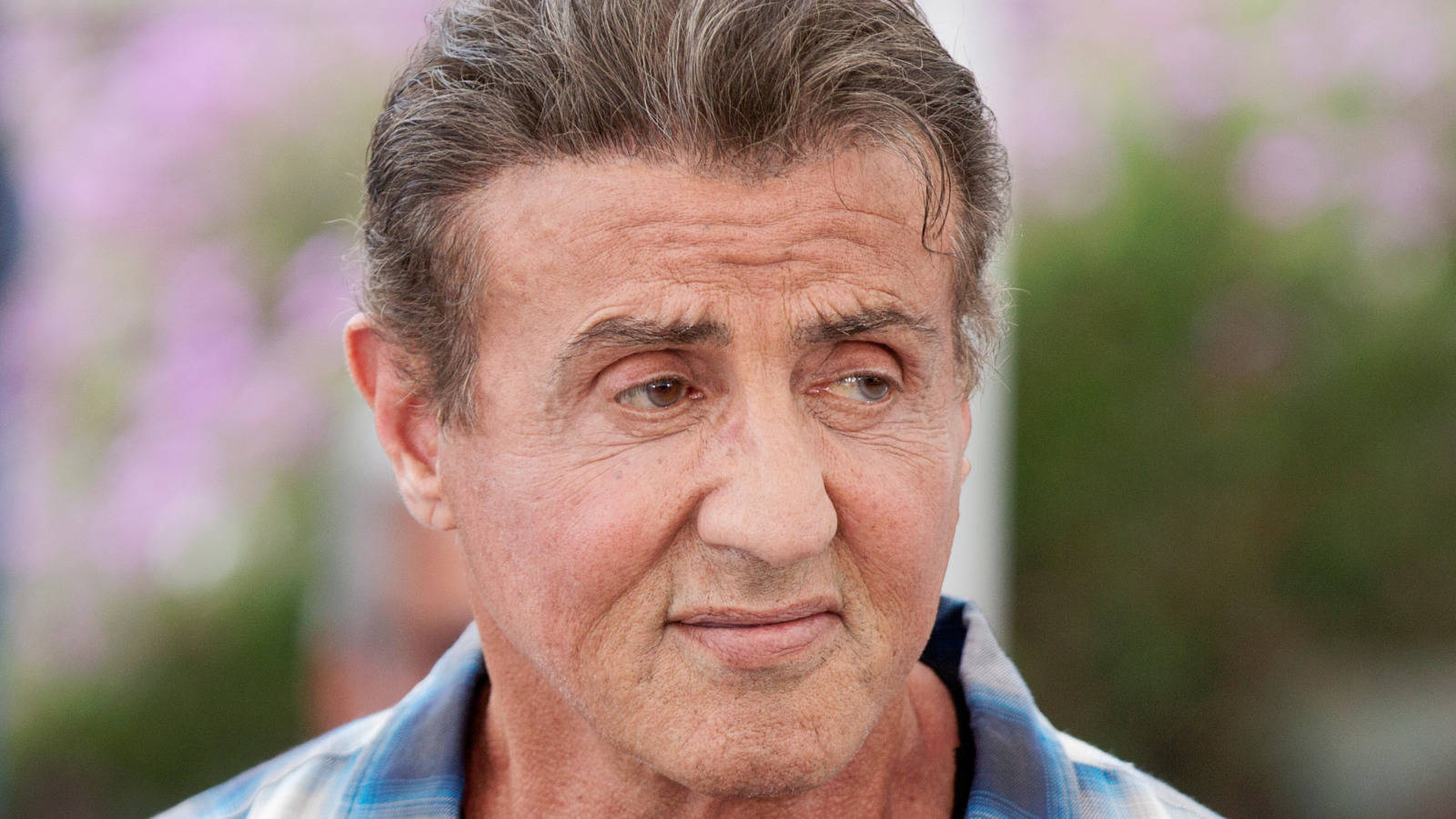Sylvester Stallone Looks To Left Picture