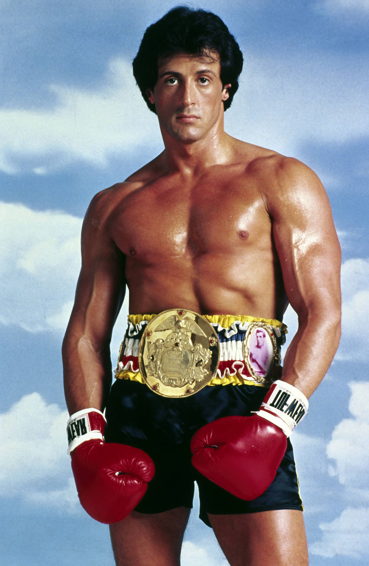 Sylvester Stallone Rocky Belt Gloves Wallpaper