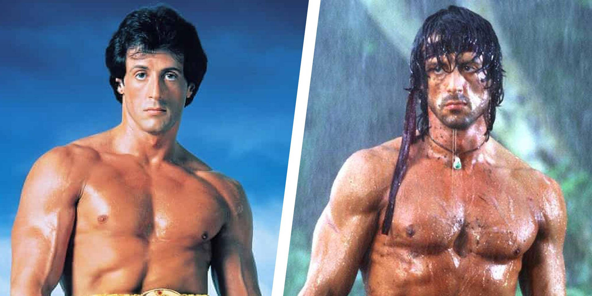 Sylvester Stallone Rocky Rambo tema. Wallpaper