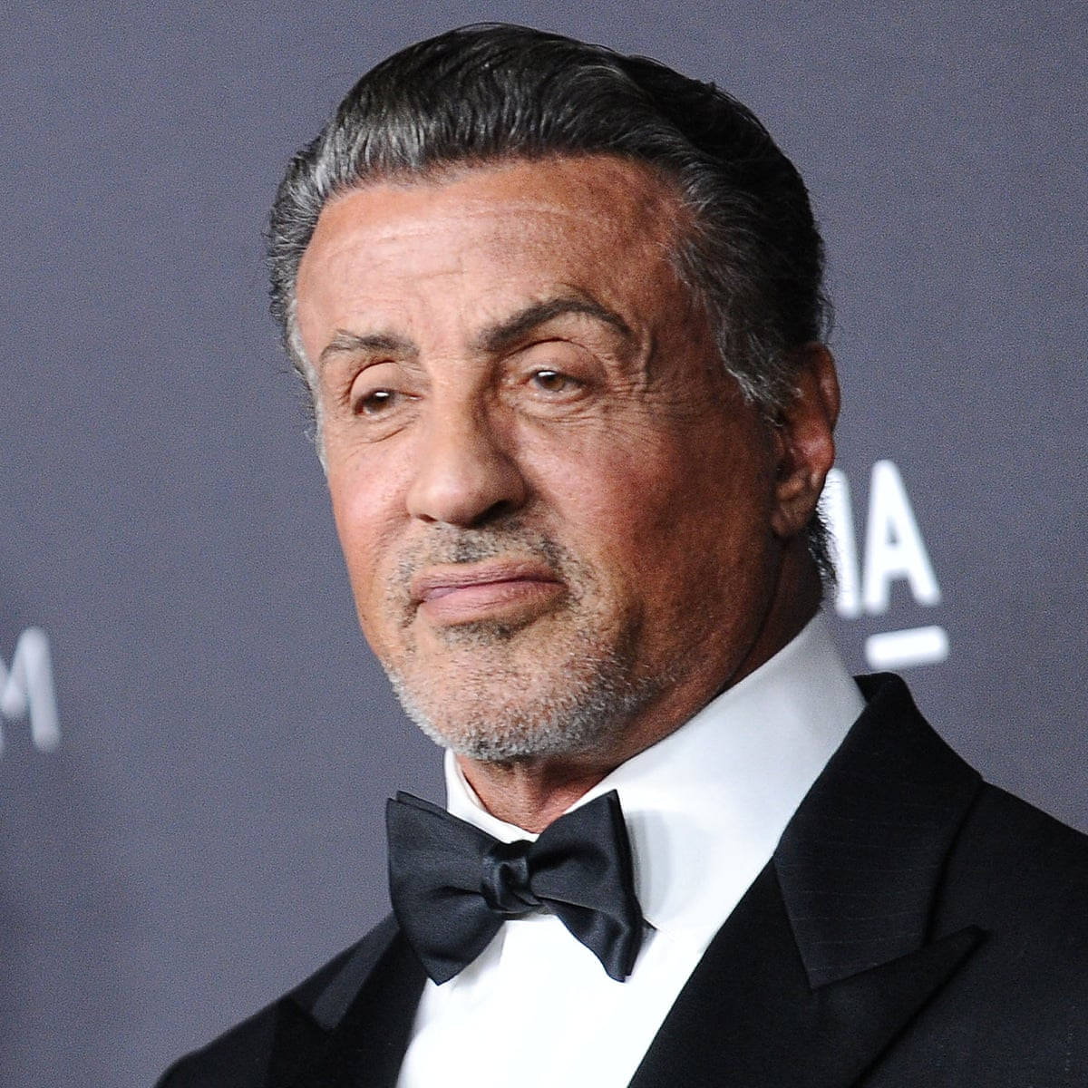 Sylvesterstallone Tuxedo Bowtie Would Be Translated To 
