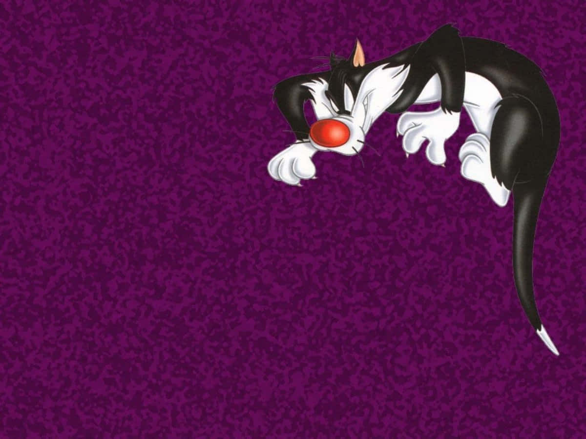 Enklassisk Bild På Den Alltid Populära Sylvester Katten.