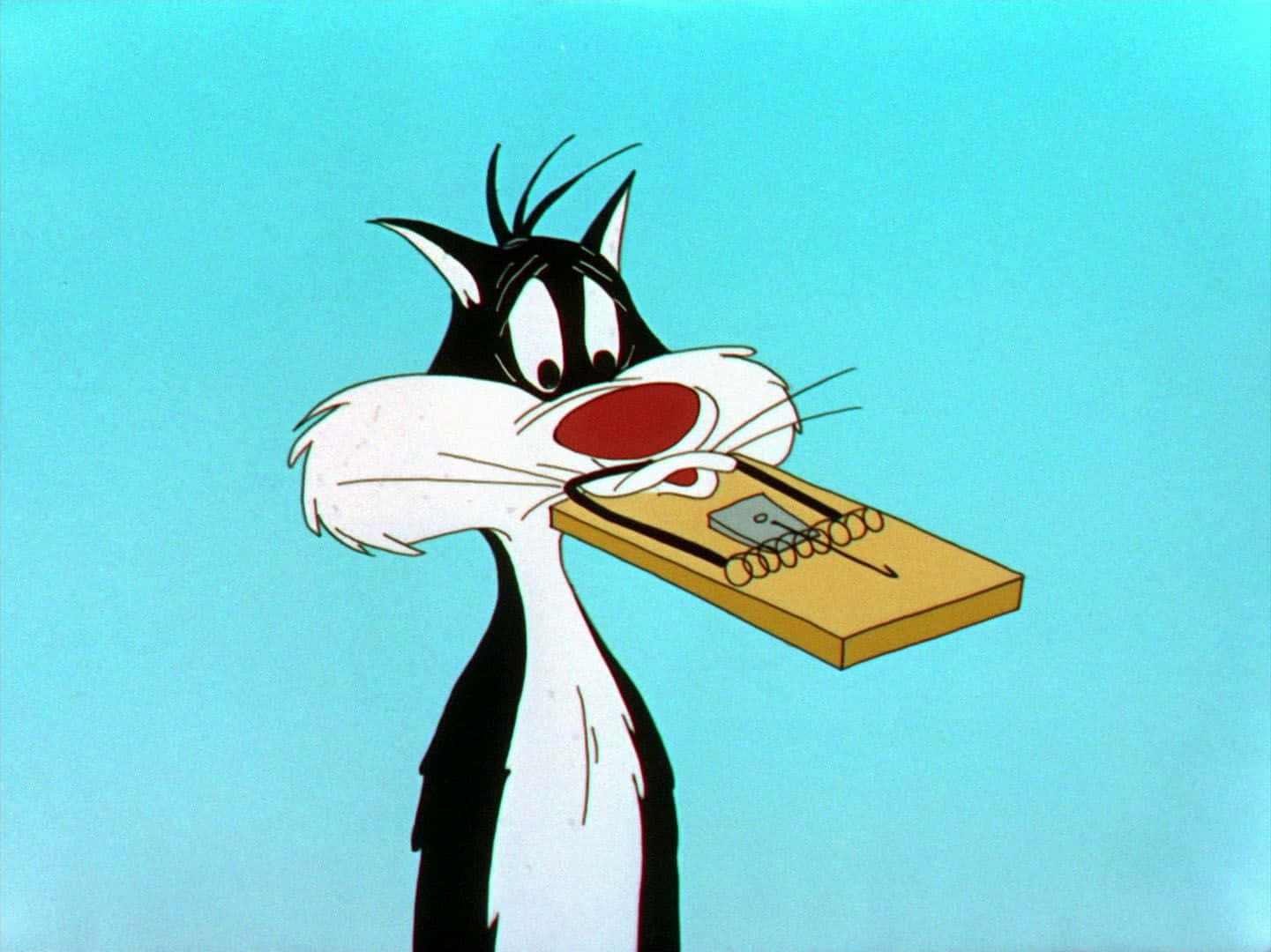 Image  Sylvester The Cat