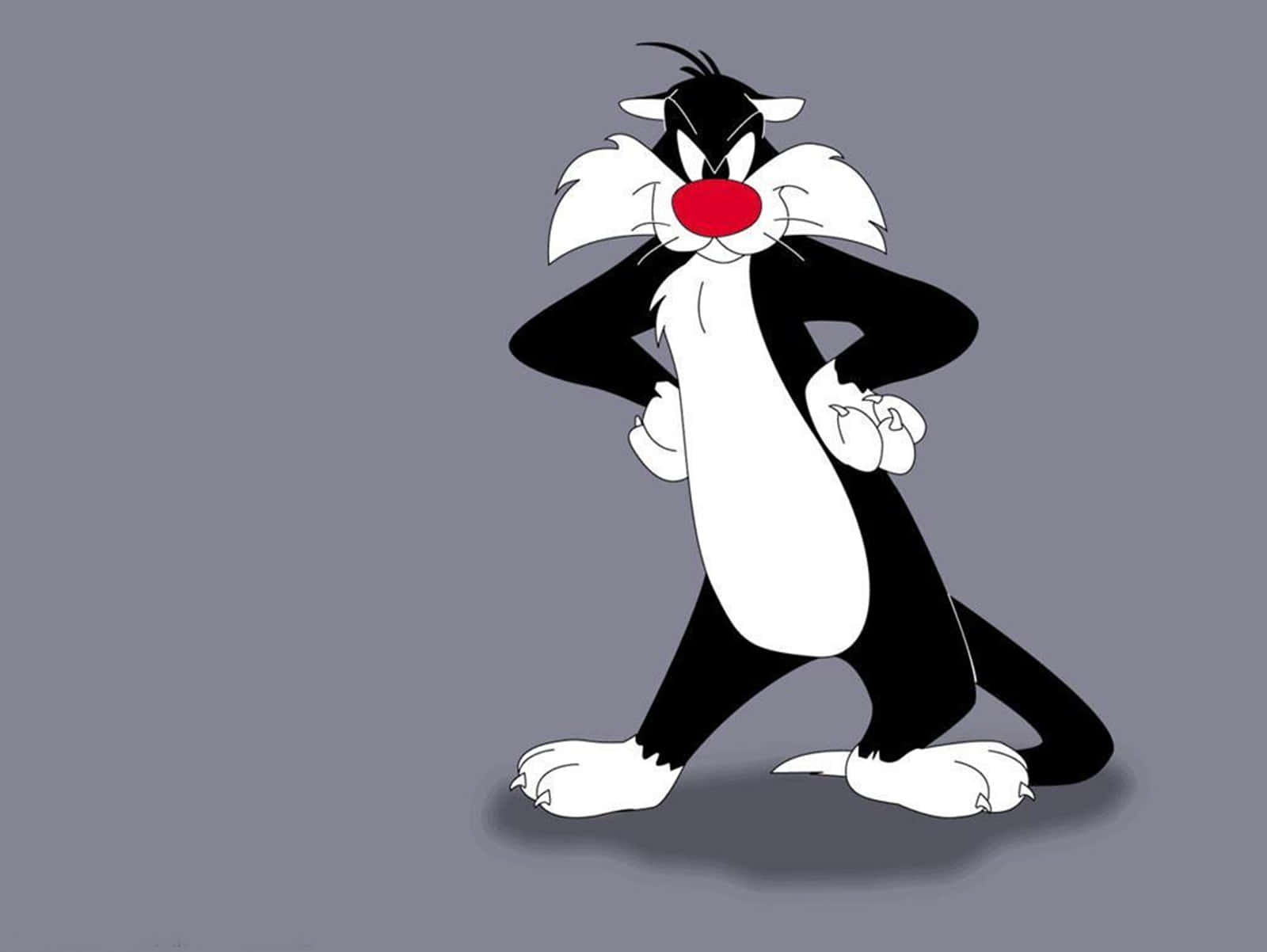 Sylvester the Cat, a Looney Tunes character living the high life!