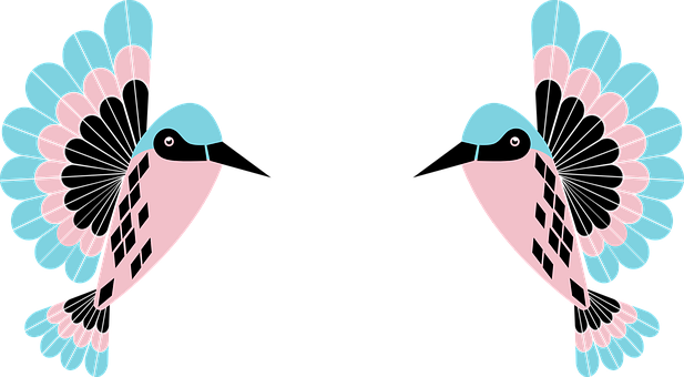 Symmetrical Abstract Hummingbird Art PNG
