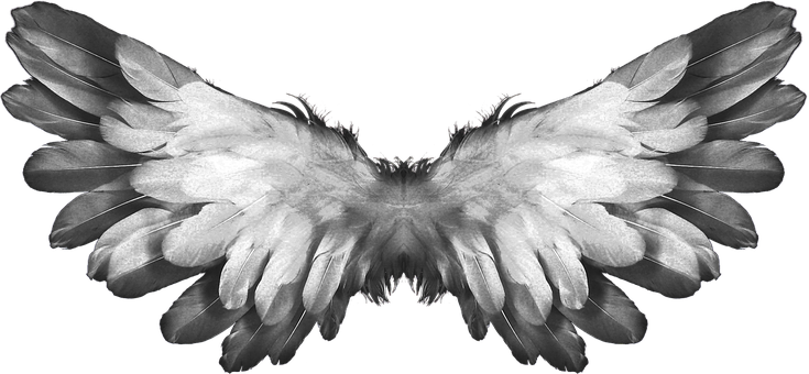 Symmetrical Angel Wings Black Background PNG