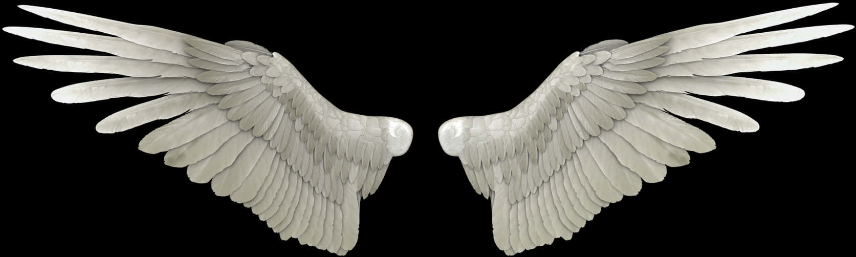 Symmetrical Angel Wings Black Background PNG