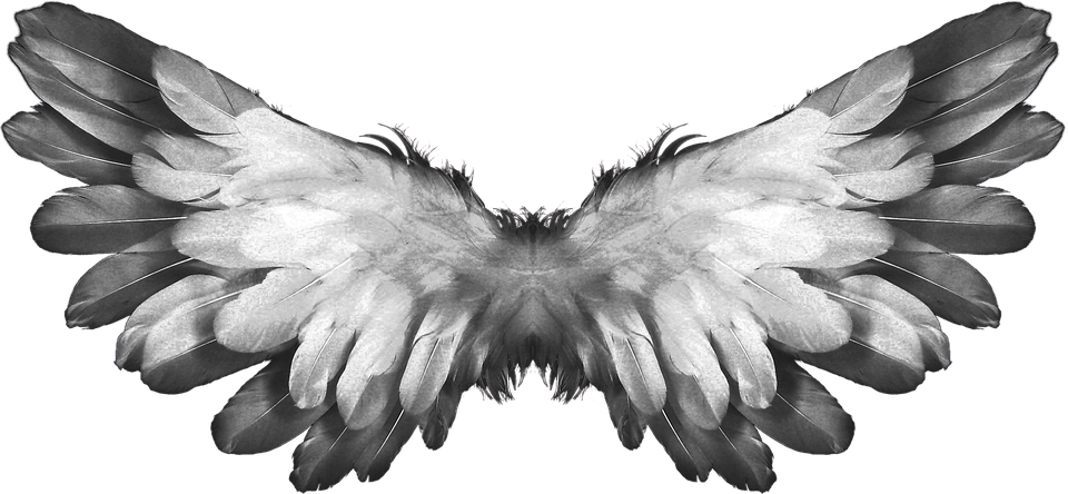 Symmetrical Angel Wings PNG