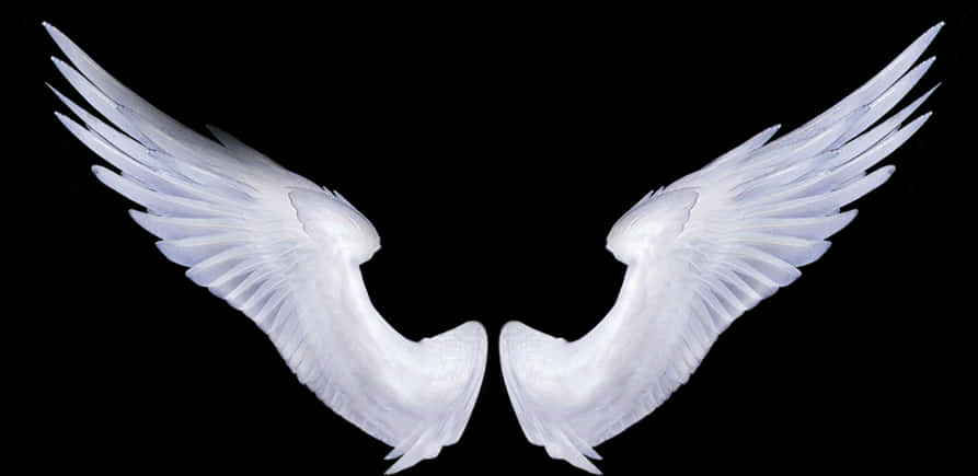 Symmetrical Angel Wingson Black Background PNG