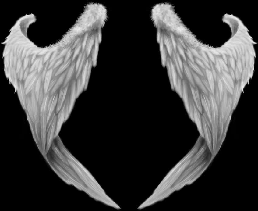 Symmetrical Angel Wingson Black Background PNG