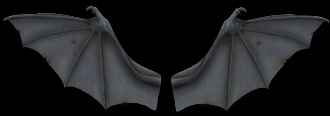 Symmetrical Bat Wings Spread PNG