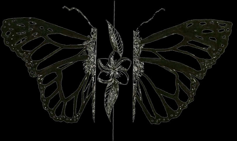 Symmetrical Butterfly Art PNG