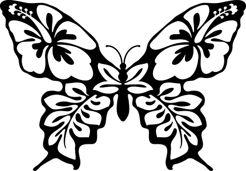 Symmetrical Butterfly Graphic Blackand White PNG