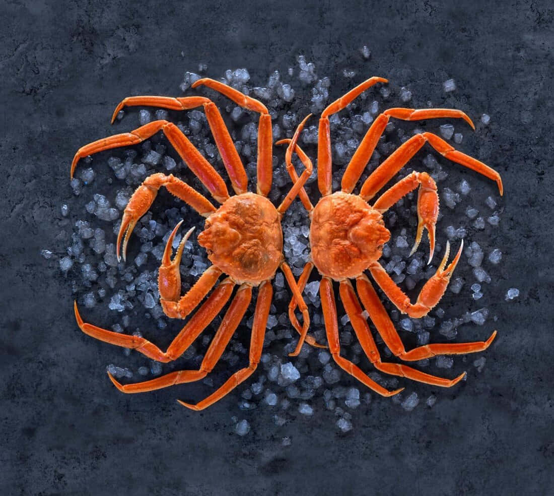 Symmetrical Crabson Salt Bed Wallpaper