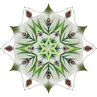Symmetrical Green Floral Mandala PNG