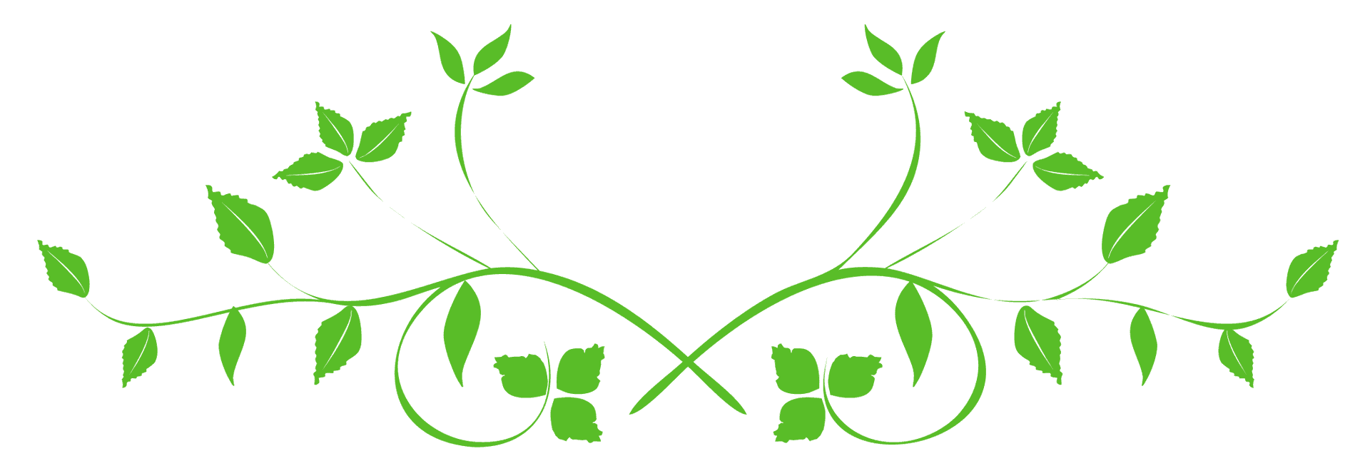 Symmetrical Green Leaves Design PNG