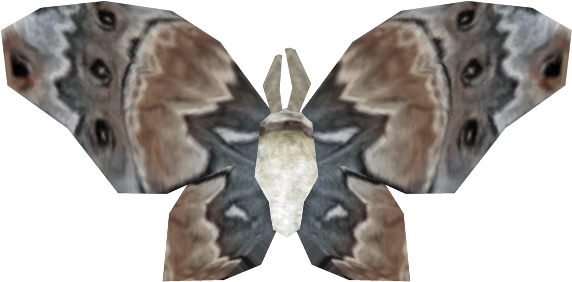 Symmetrical Moth Wings Pattern PNG