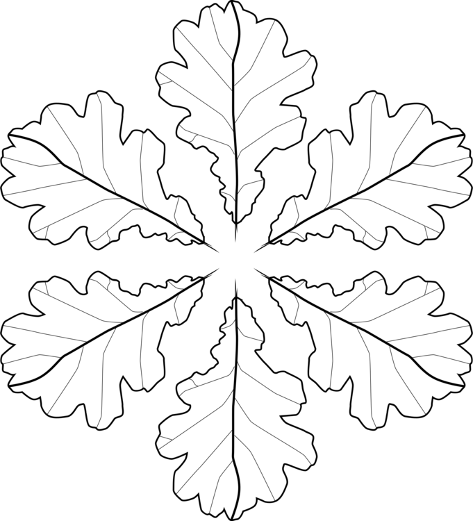 Symmetrical Oak Leaves Pattern PNG