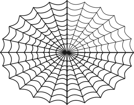 Symmetrical Spider Webon Black Background PNG