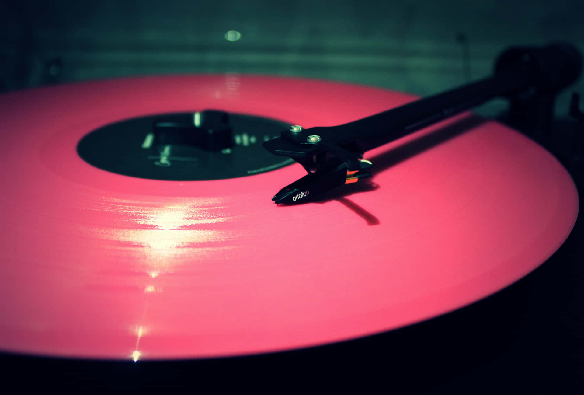 Synthetic Pink Vinyl Disc Wallpaper