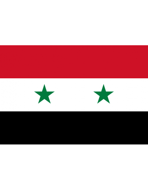 Download Syrian National Flag | Wallpapers.com