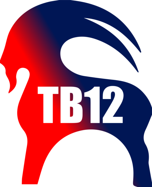 T B12 Logo Graphic PNG