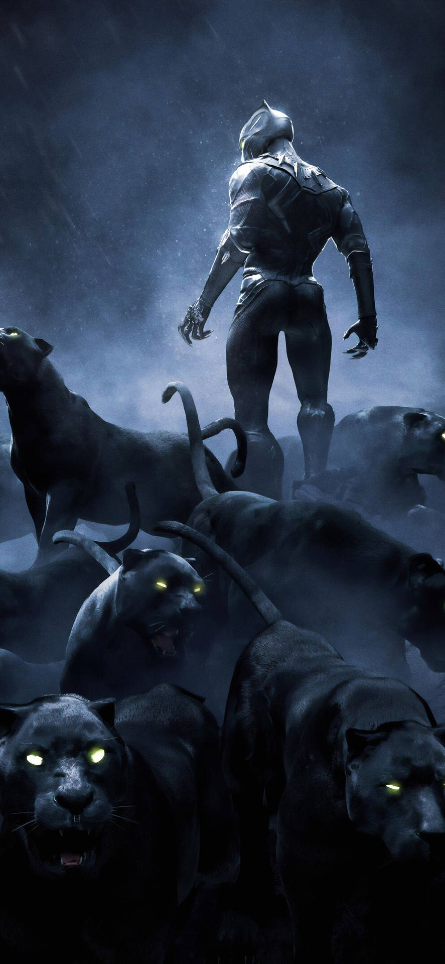 T'challa Black Panther Android Background