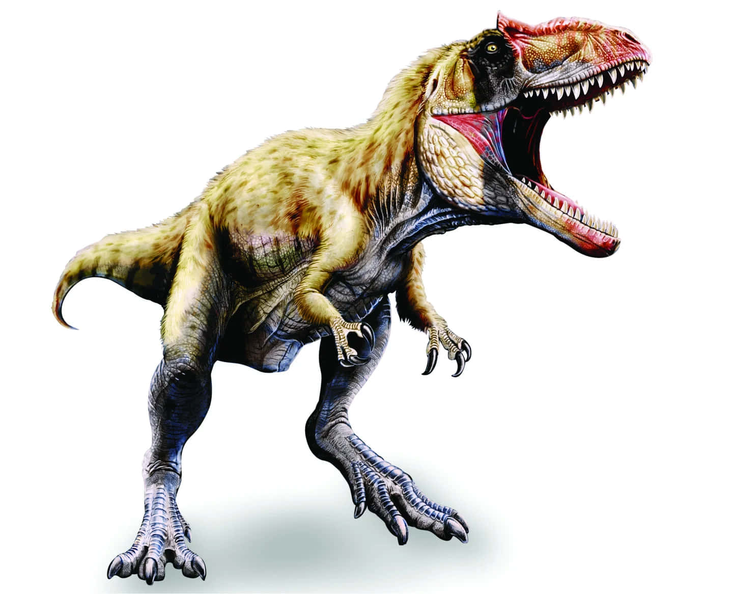 Et t-rex med åben mund vises på en blå baggrund.