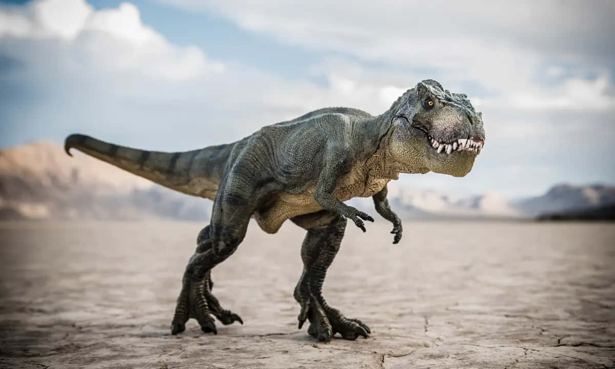 A T - Rex Is Walking Across A Desert