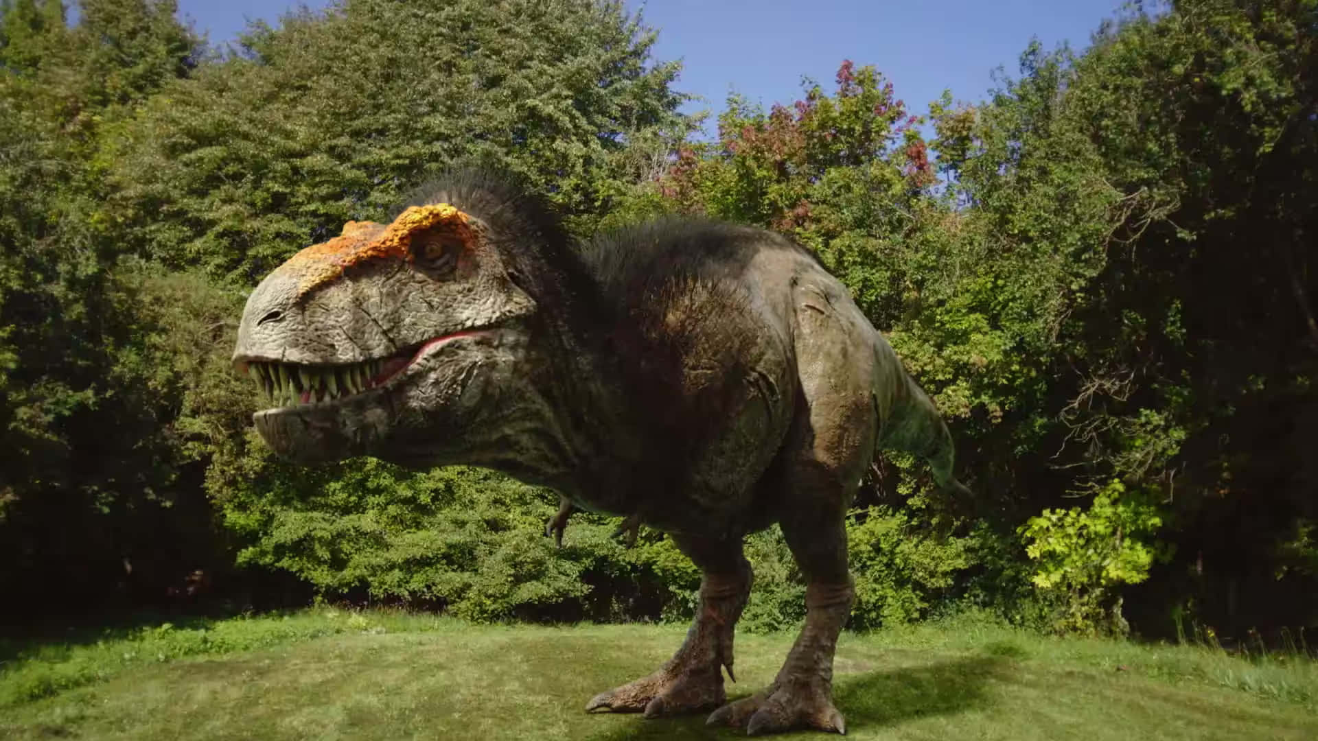 En Tyrannosaurus Rex i naturen.