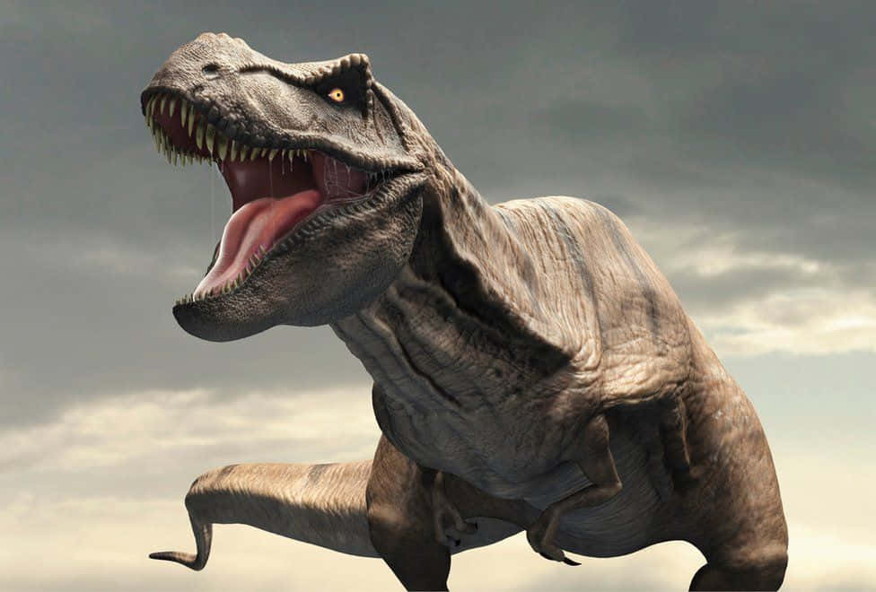 "Tyrannosaurus Rex - a fierce predator from prehistoric times"