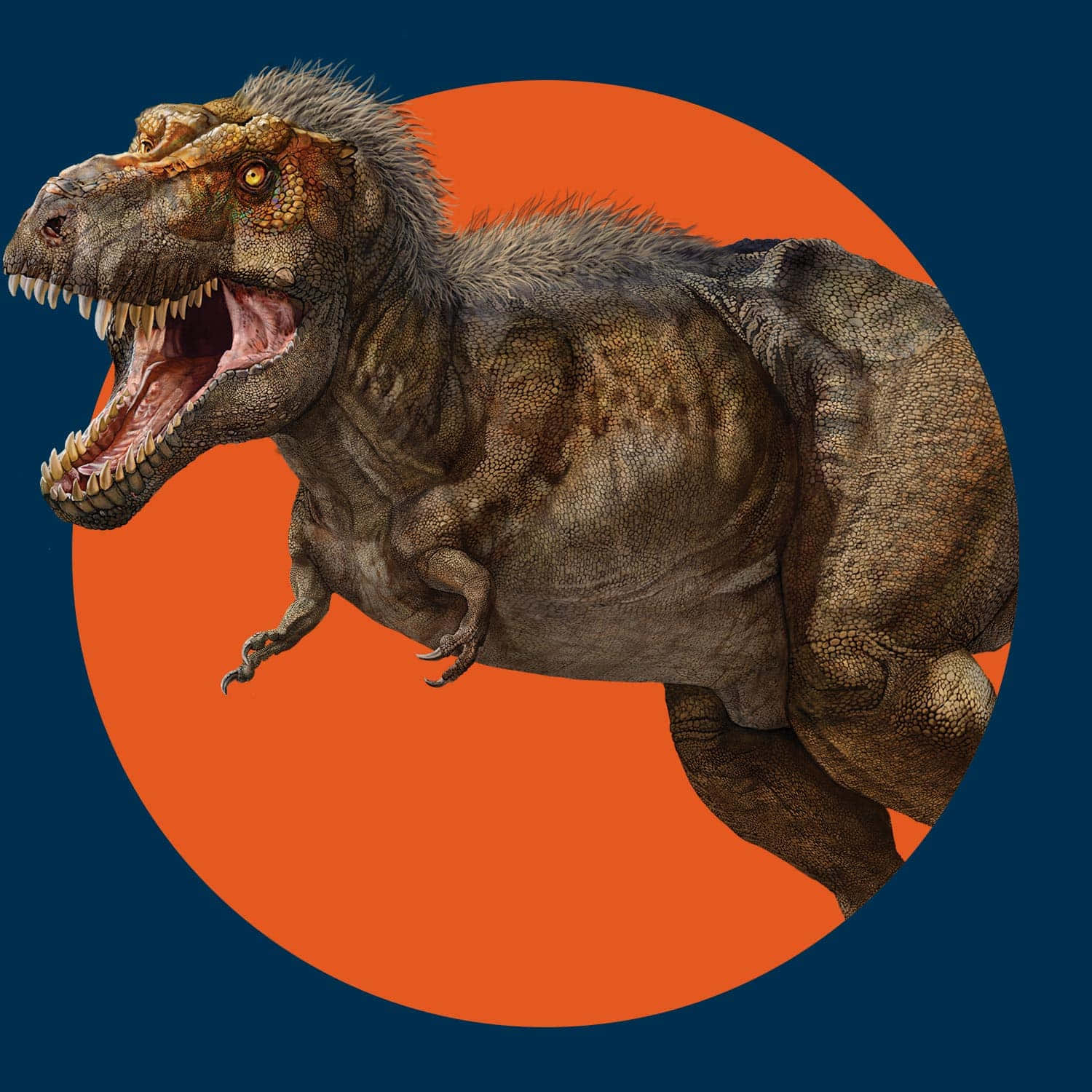 Untirannosauro Rex È Mostrato In Un Cerchio Arancione.