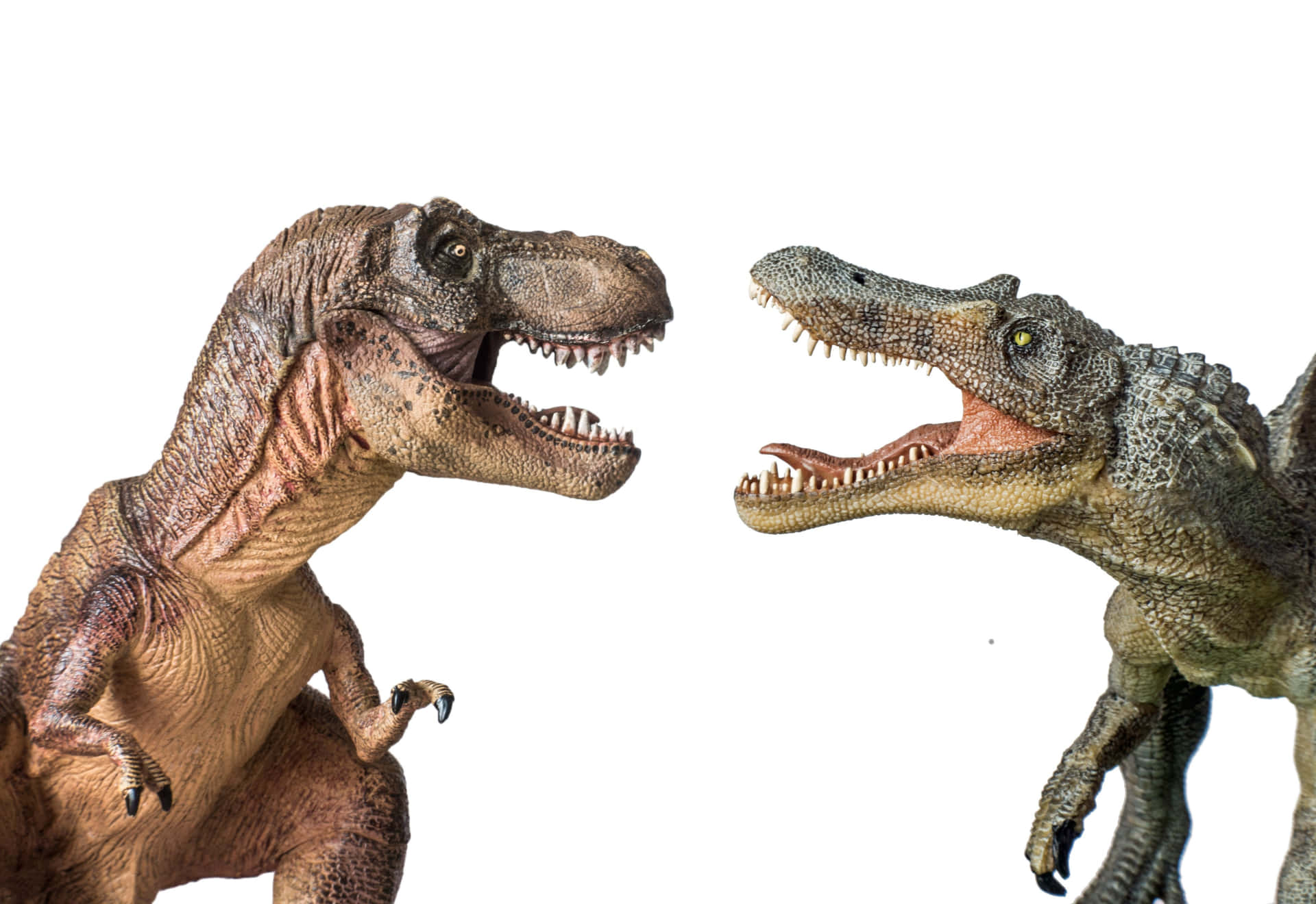 "Ready to Roar: A Tyrannosaurus Rex in Its Natural Habitat"