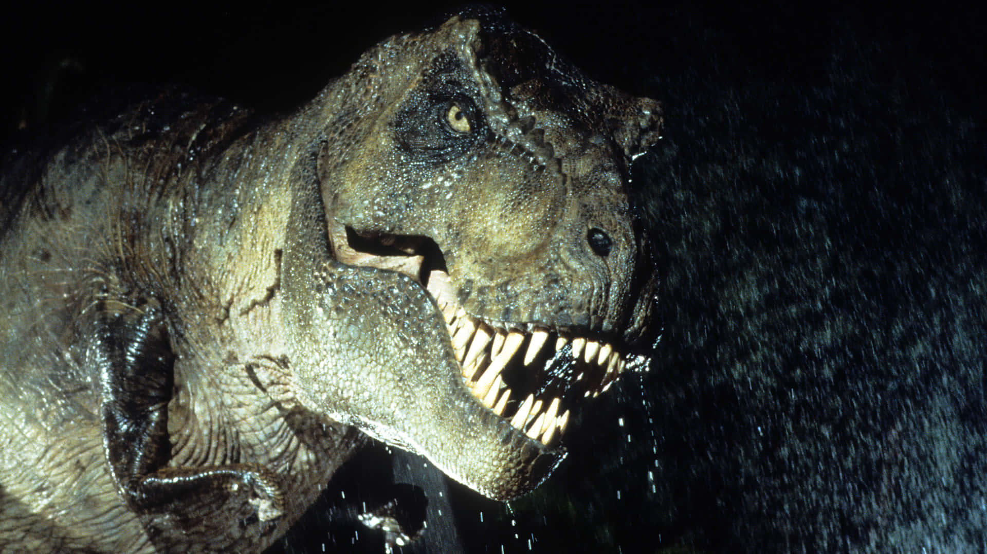 Eint-rex Mit Zähnen