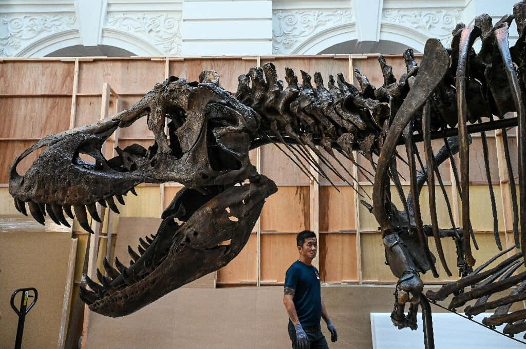 En voldsom T-Rex der går rundt på det præhistoriske kontinent.