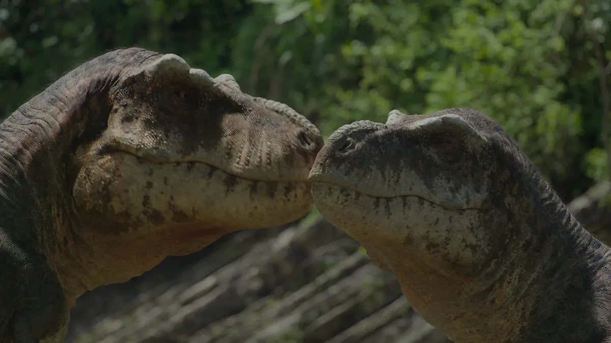 Duet-rex Che Si Baciano Nel Bosco
