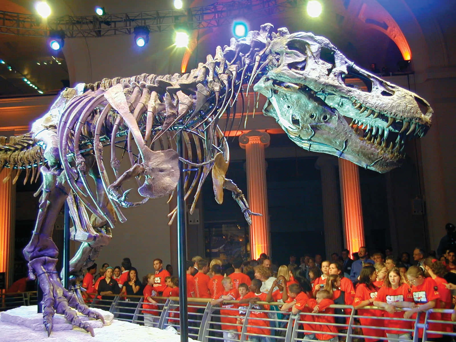 Unosfondo Con L'immagine Di Un Grande Scheletro Di T-rex