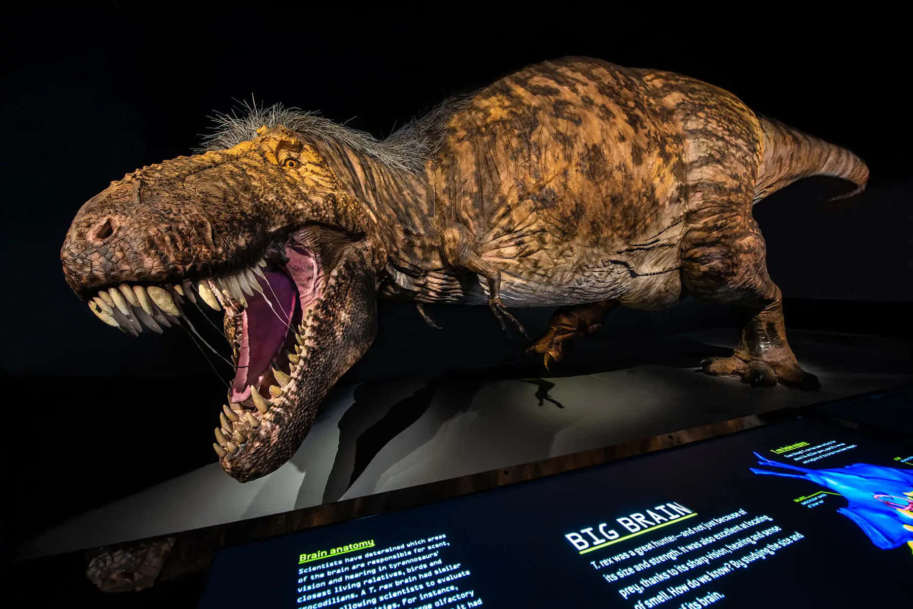 A close-up of a T. Rex’s ferocious teeth