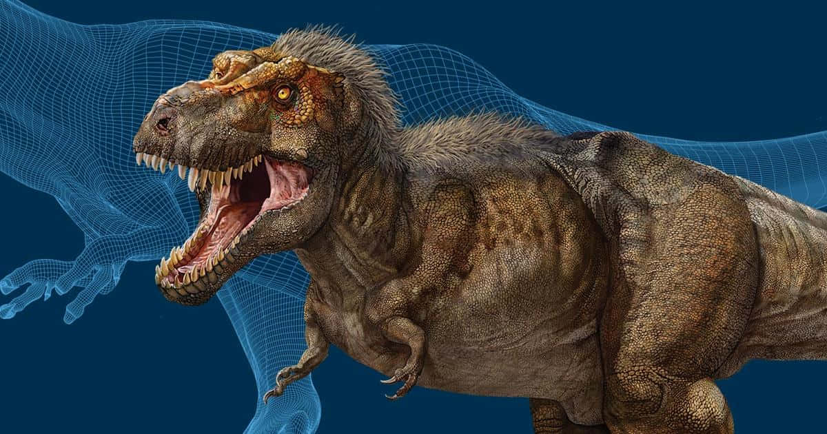 76 Tyrannosaurus Rex Wallpaper  WallpaperSafari