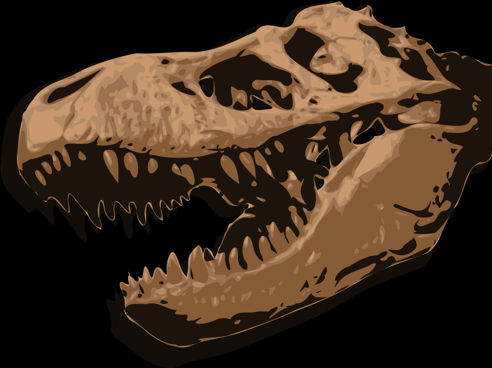 T Rex Skull Illustration PNG