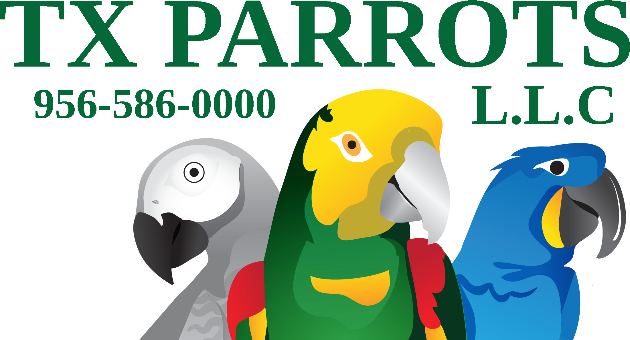 T X Parrots Logo Graphic PNG