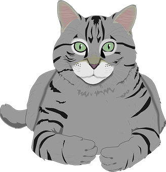 Tabby Cat Illustration PNG