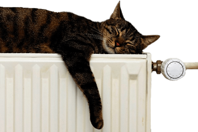 Tabby Cat Relaxingon Radiator PNG