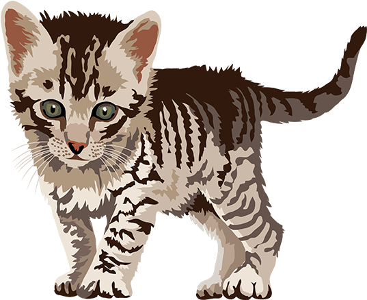 Tabby Kitten Illustration.png PNG